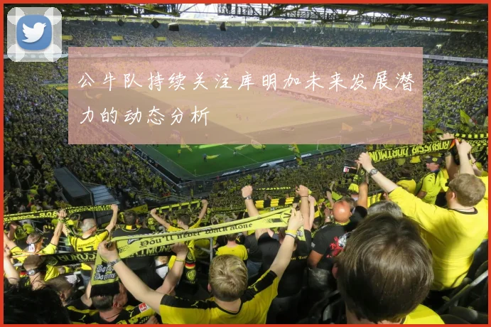 公牛队持续关注库明加未来发展潜力的动态分析