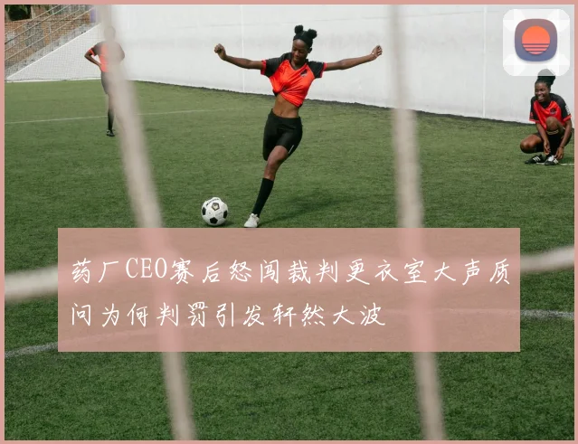 药厂CEO赛后怒闯裁判更衣室大声质问为何判罚引发轩然大波