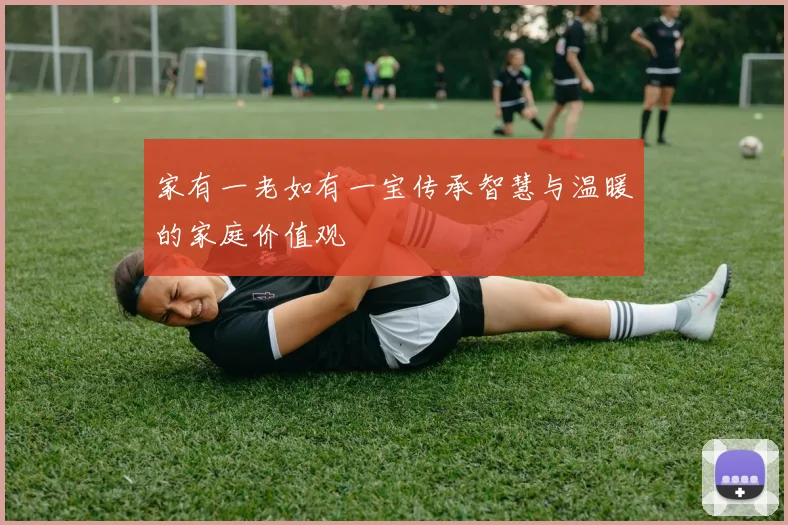 家有一老如有一宝传承智慧与温暖的家庭价值观