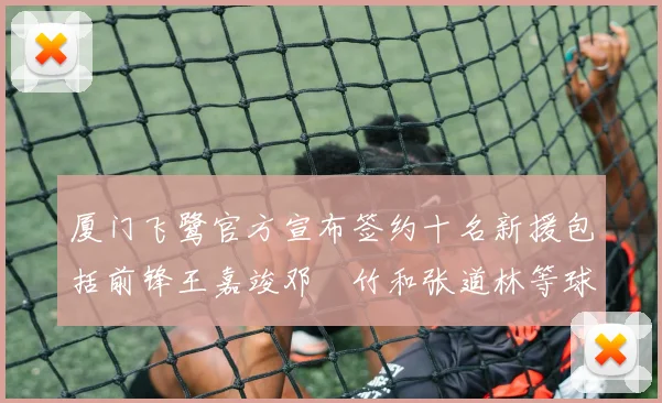 厦门飞鹭官方宣布签约十名新援包括前锋王嘉竣邓棽竹和张道林等球员
