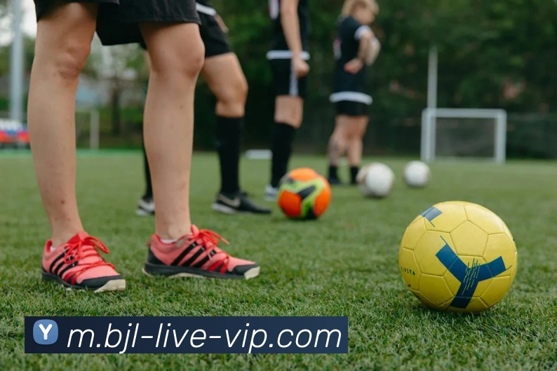 百家乐服务体系